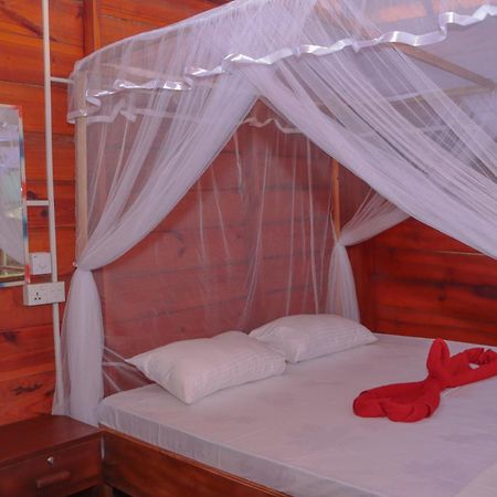 Benzai Surf Apartamento Baía de Arugam Exterior foto